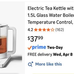 Electric Tea Kettle with Infuser
