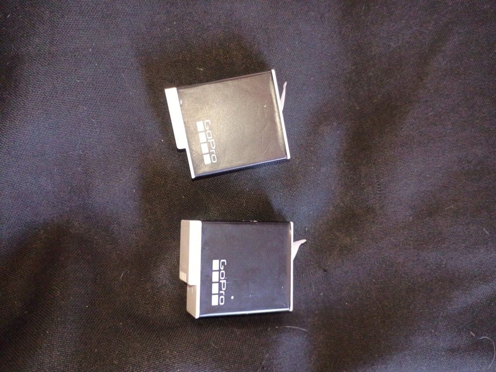 GoPro Enduro Dual Battery & Charger