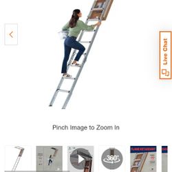 Attic Louisville Ladder 