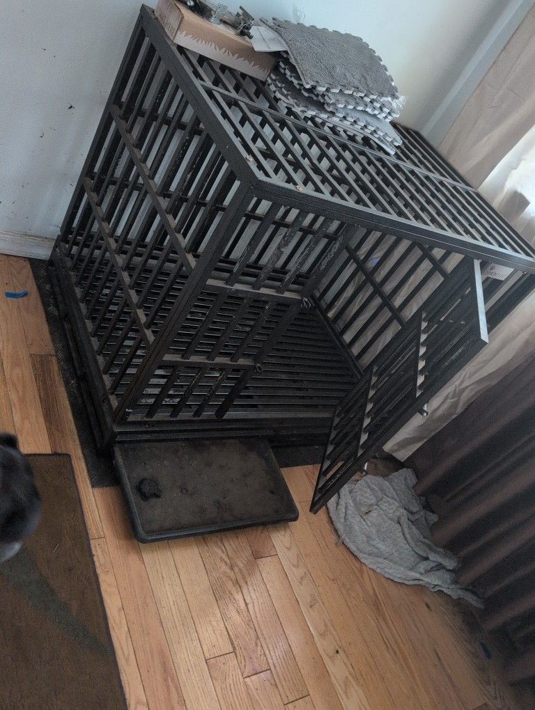 Big Dog Cage