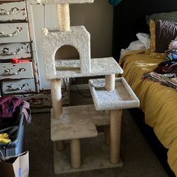 Free Cat Tree