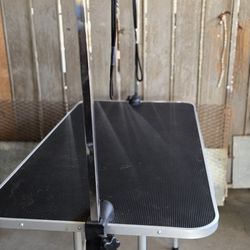 Grooming Table