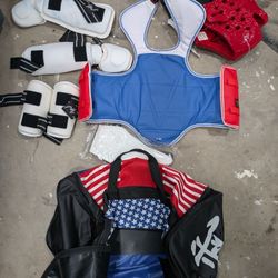 Pine Tree Complete Vinyl Martial Arts Sparring Gear With Bag, Shin Insteps, And Groin (Size 2 Female Adult Small With  Large Headgear)