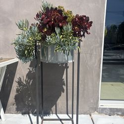 Modern Plant Stand + Planter (with Succulents) 🌿