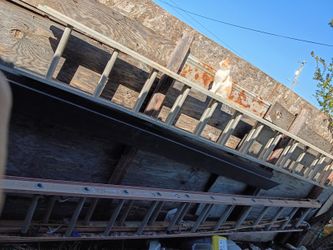 Two Extension Ladders