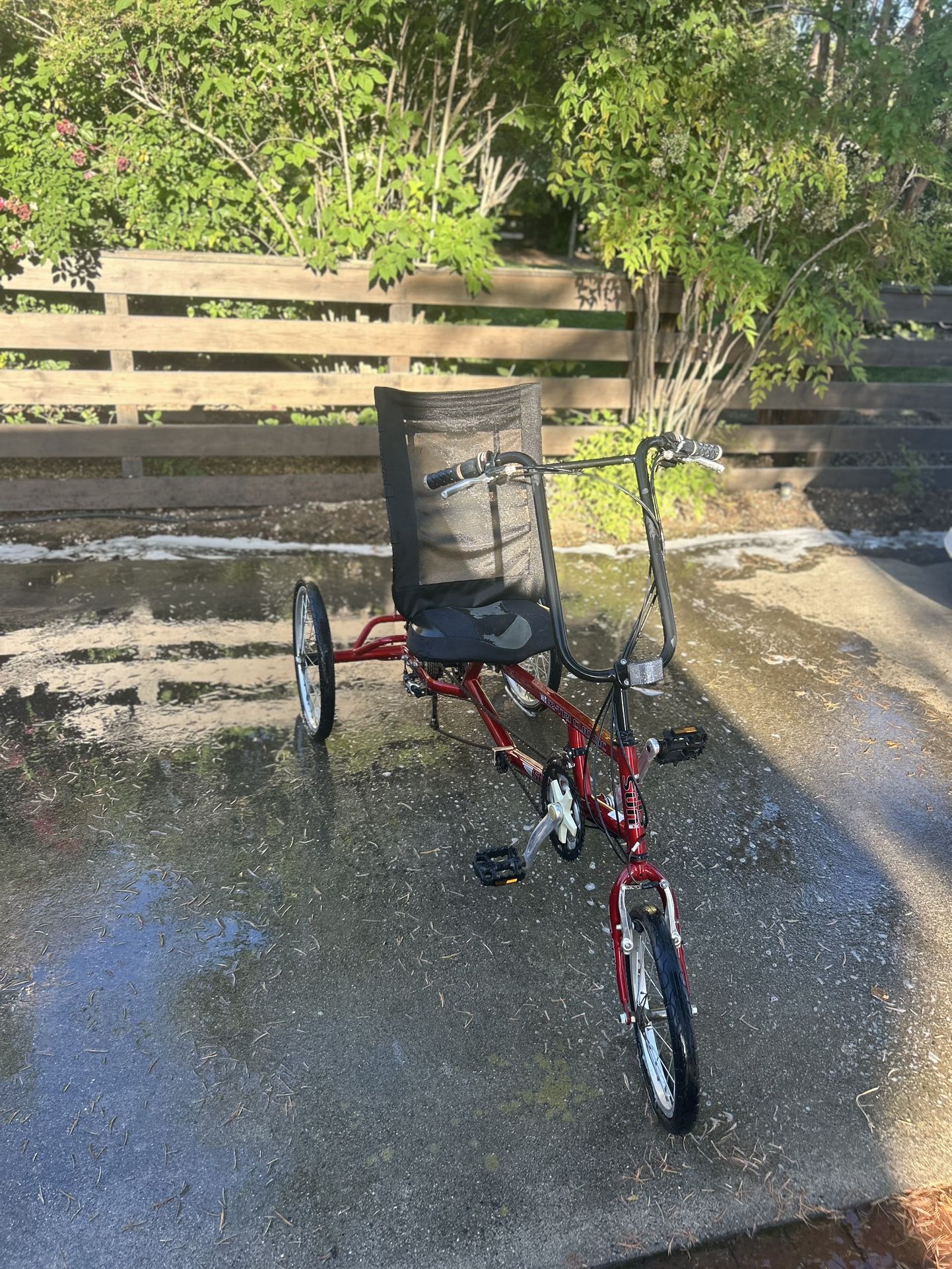 Vintage Ez-tri Classic