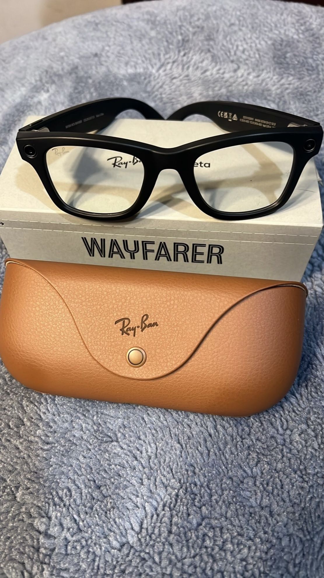 Ray-Ban Meta Wayfarer RW4006