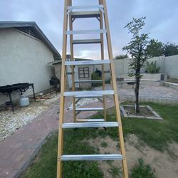2 Ladders Bundle 
