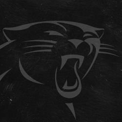 Carolina Panthers Tickets 