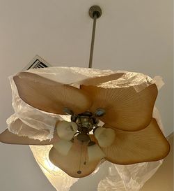 Fan with light ( quantity 2)