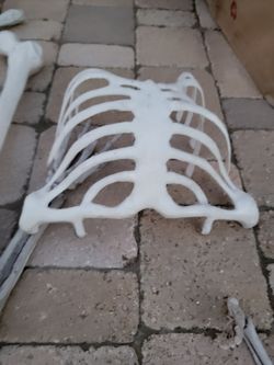 Skeleton Halloween Lot