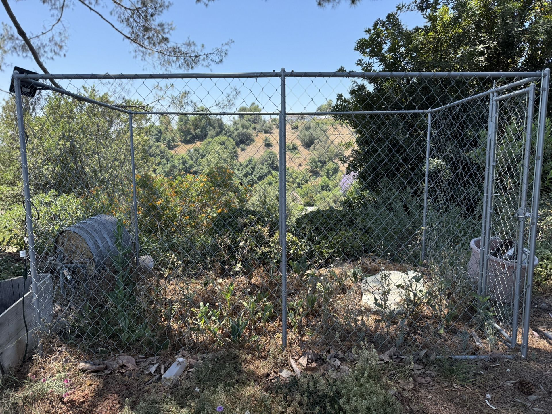 Chain link Cage - Dog Run (discount If Picked Up By 6/16)