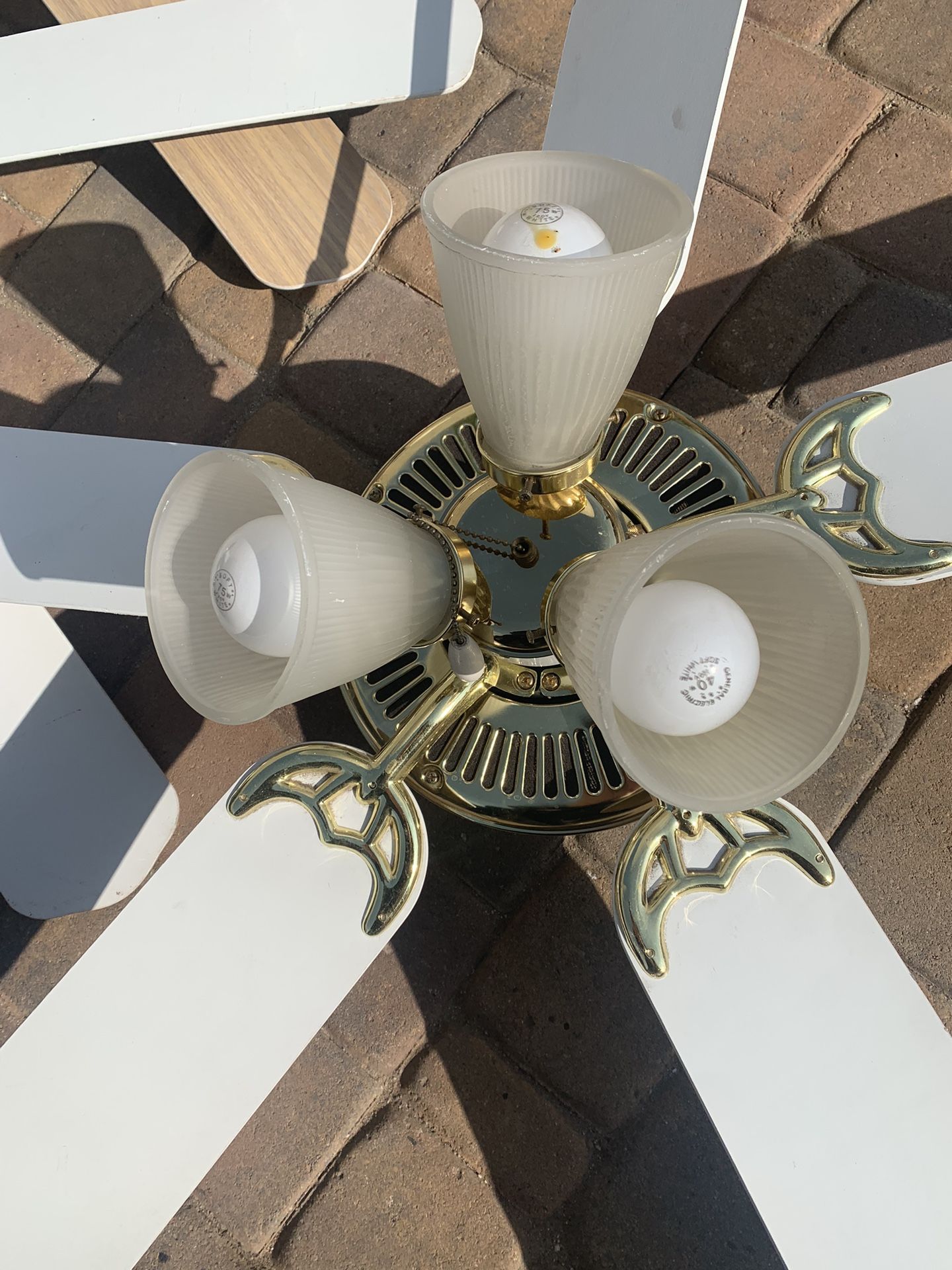 Ceiling Fan