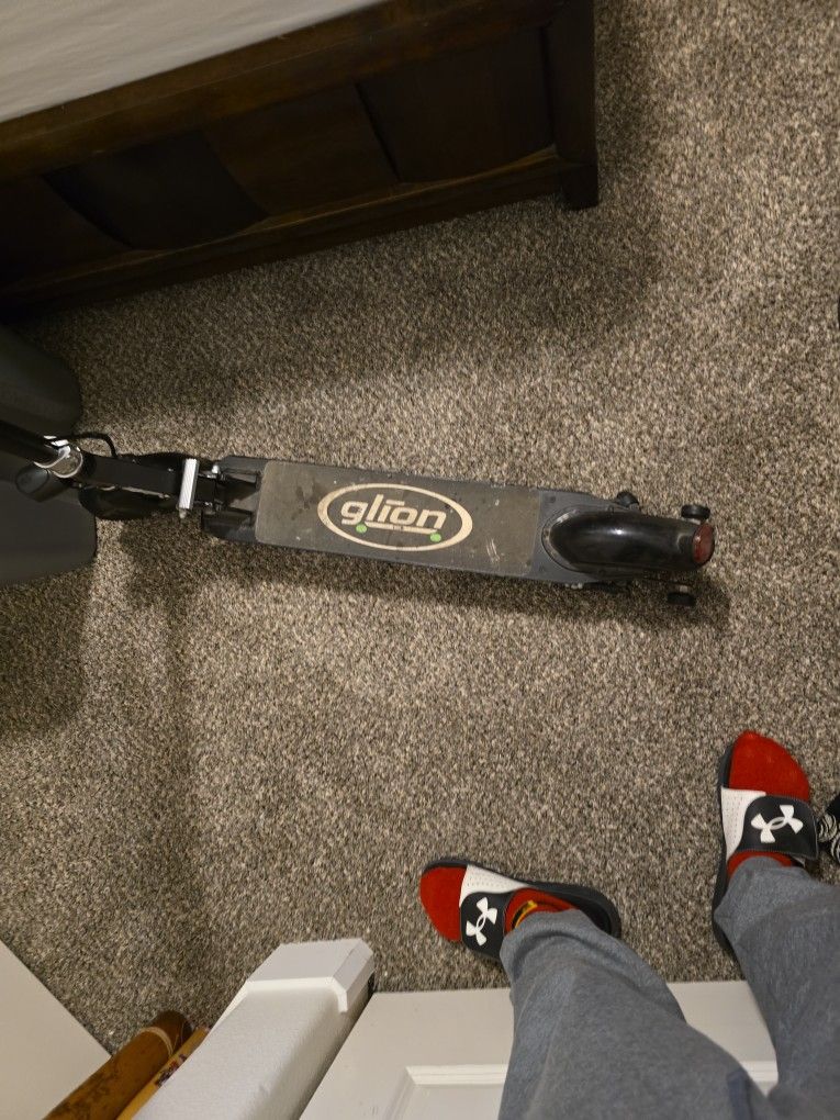 Glion Adult Scooter