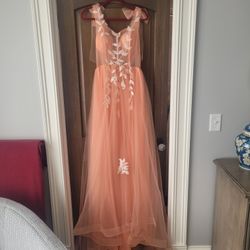 Beautiful Tulle Full Length Dress