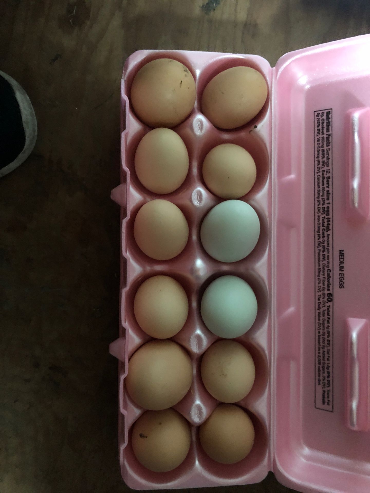 Fresh farm eggs