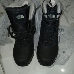 Jordan Dub Zero $170 Or Jordan 6 Rings $170, or Nike Airmax New  $159, North Face Boots Or N.F. Jackets or Nintendo Switch, Ask For Prices 