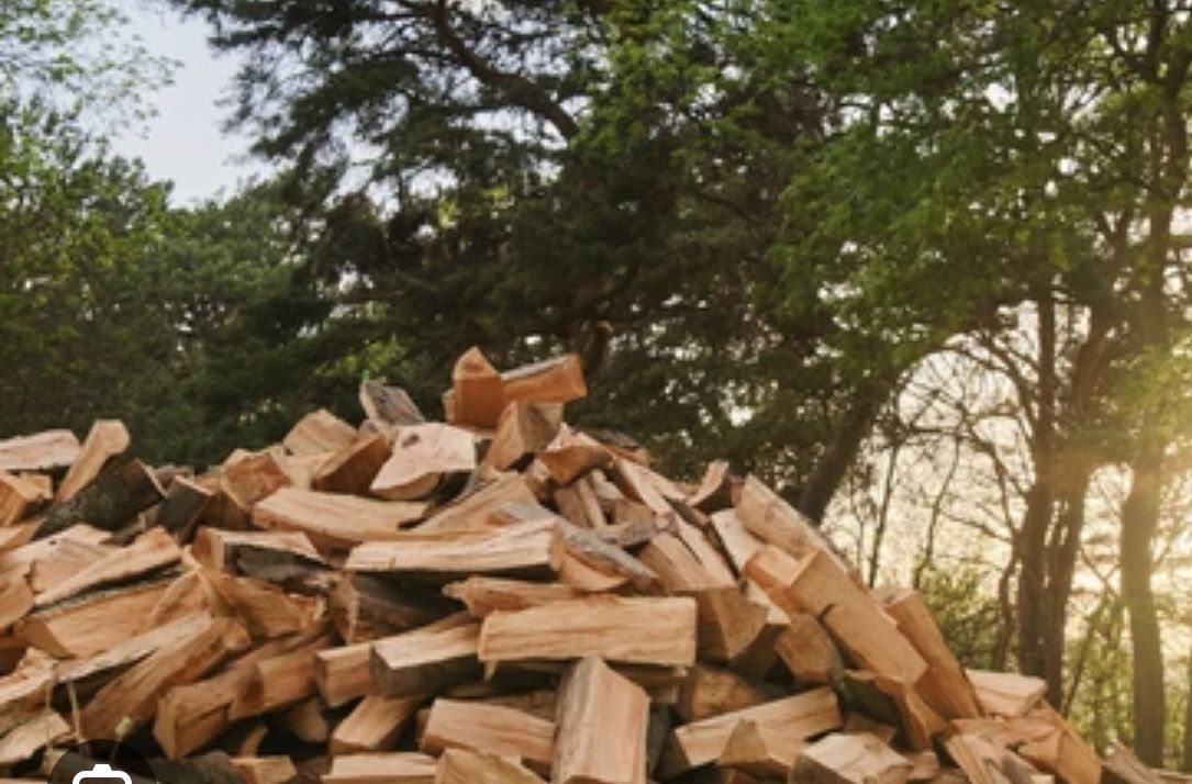Firewood