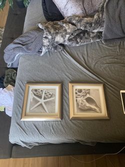 Bathroom Wall Art/ Photography Frames