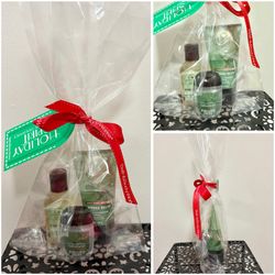 Bath & Body Works Eucalyptus &  Spearmint Mini Travel Gift Set