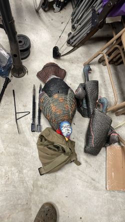 Half Strut Jake Decoy with 2 hens