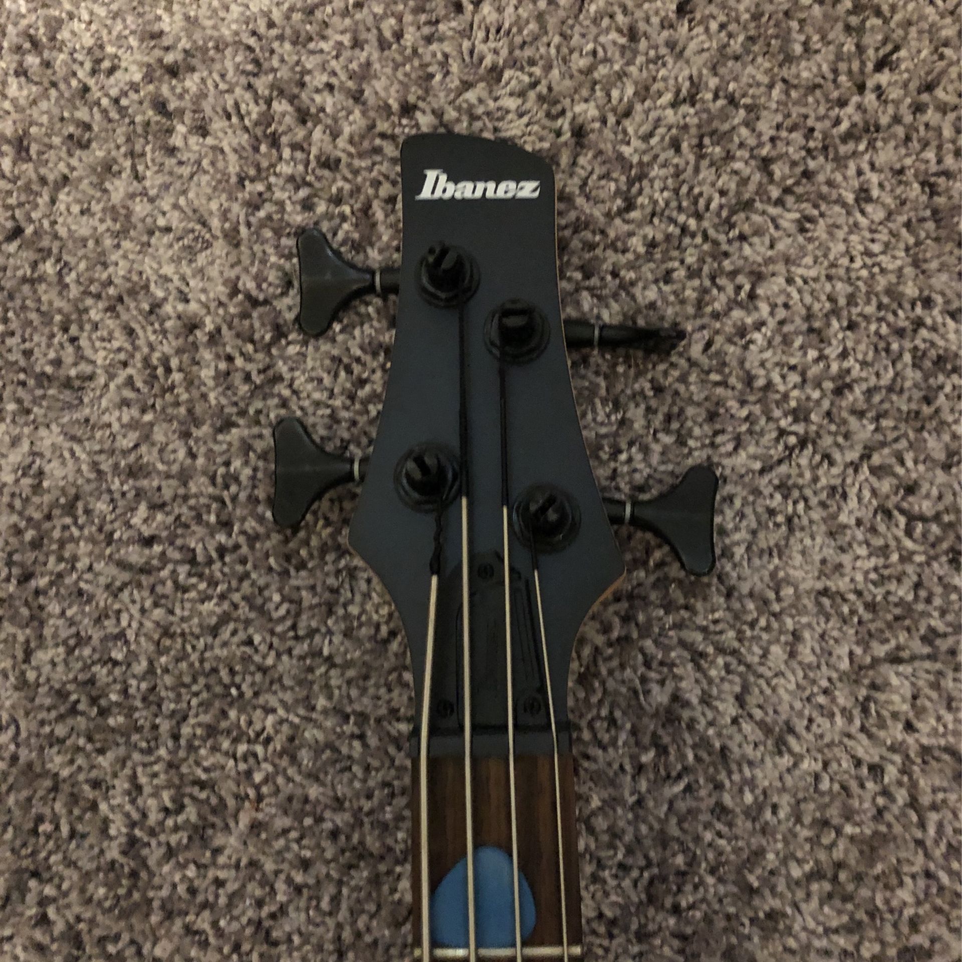 Ibanez Bass Guitar