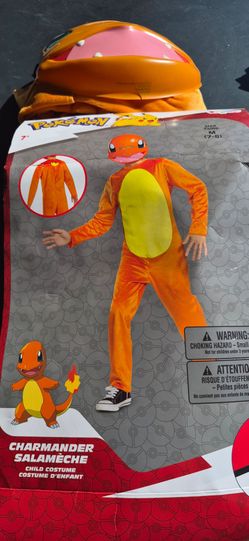 Costume - Pokémon