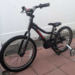 Trek Bike