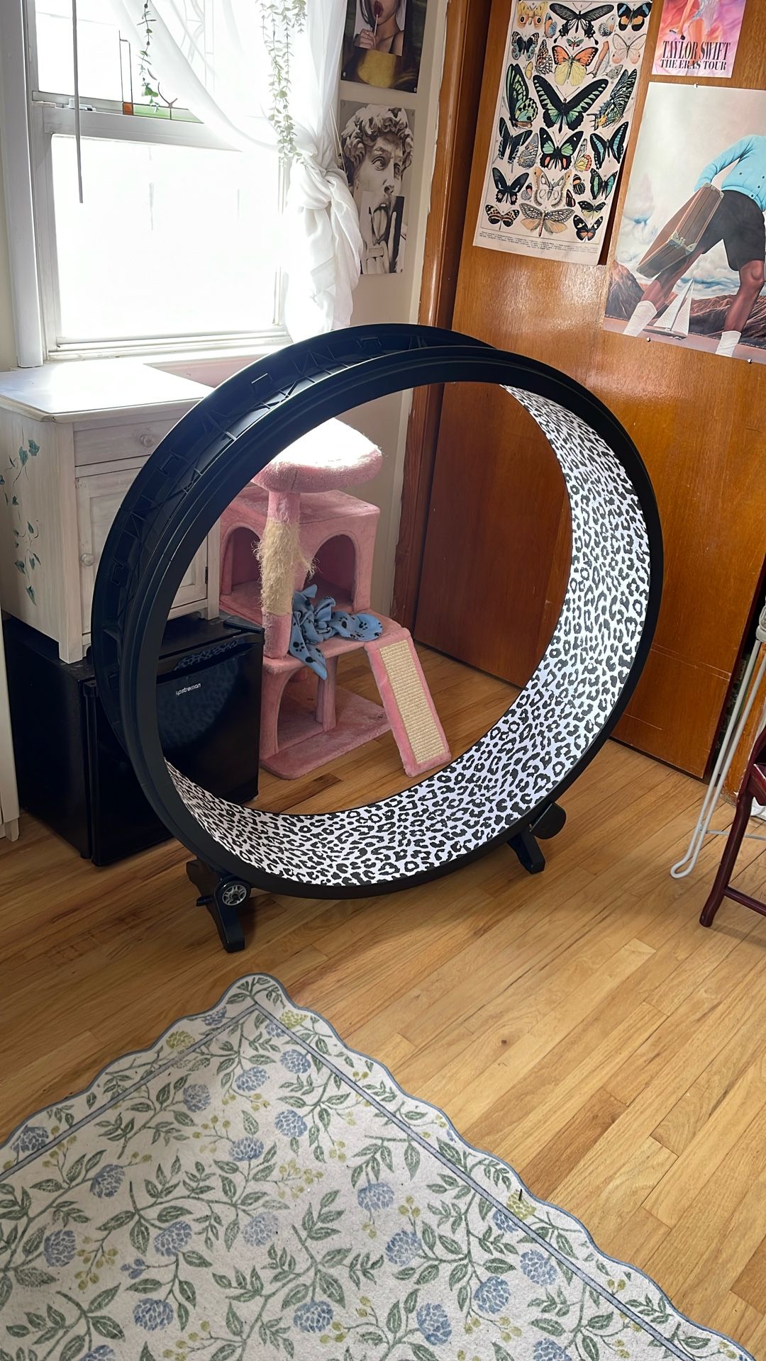 Cat Wheel