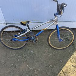 Gt Speed Series Expert 