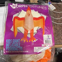 Halloween Costume 