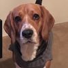 Edgar