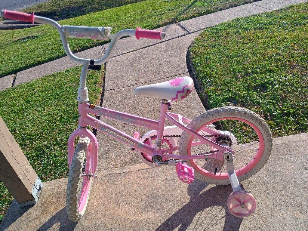 Toddlers Bicycle