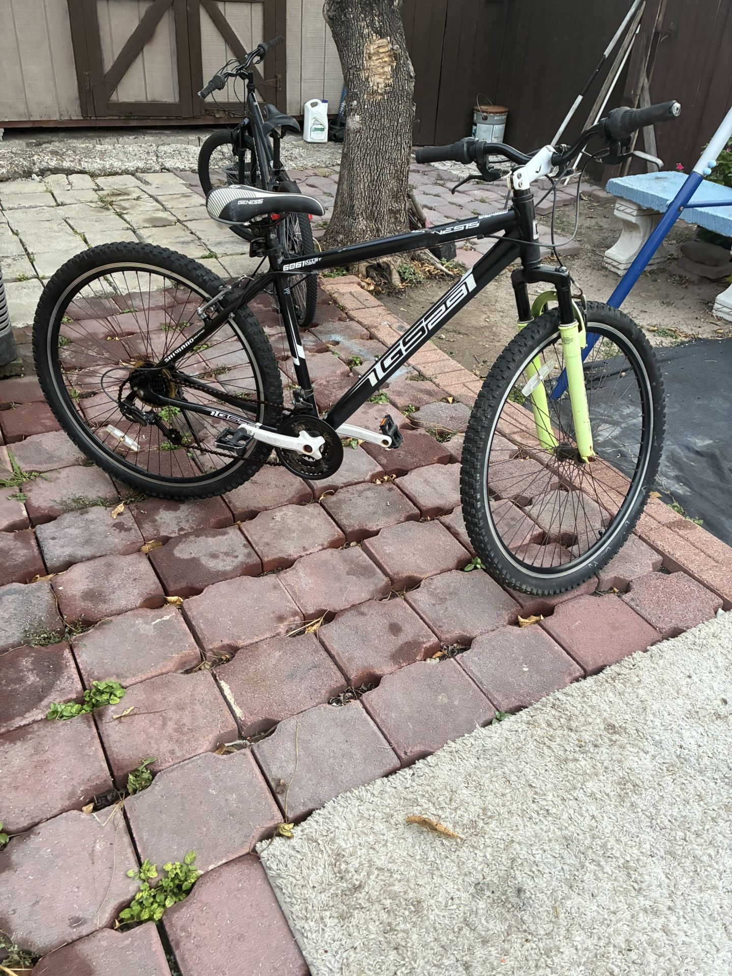 Used 29” Genesis Bike As Is!125