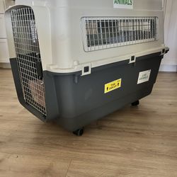 XL Travel Dog Crate 