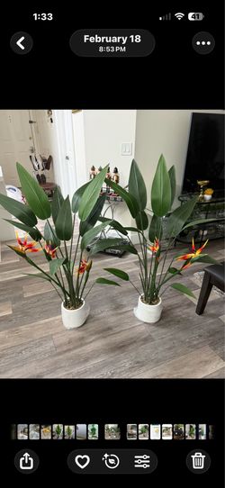 Pretty artificial plant 4 ft tall set of 2 ! Brand new