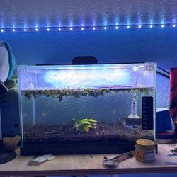 2.5G Rimless Aquarium With Accessories