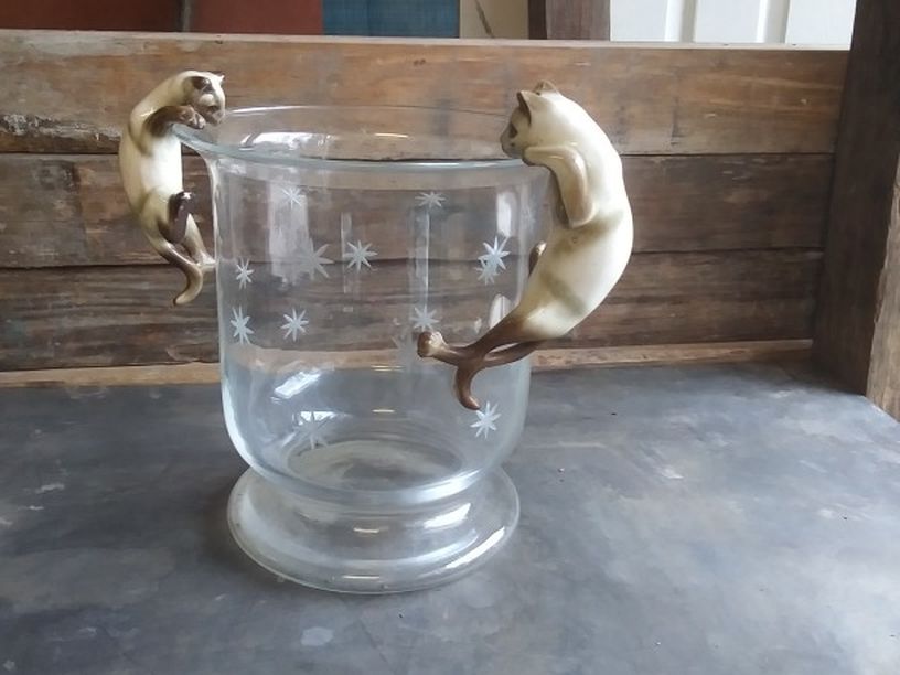 Fish Bowl for a beta