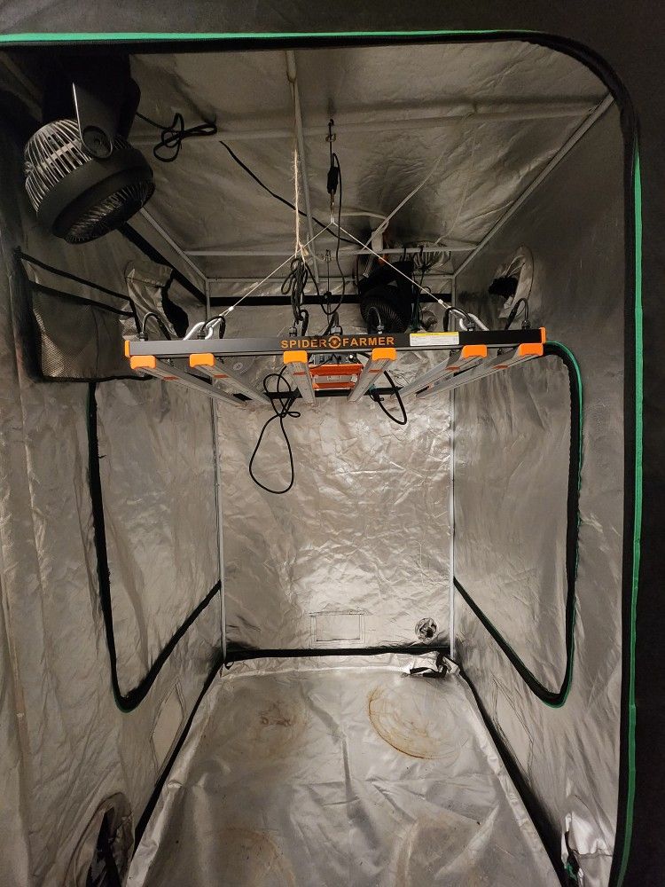Spider farm SE 5000 Grow Lights