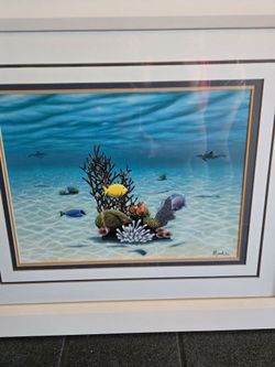 Vintage Sea life art white frame