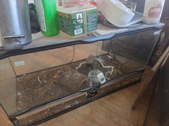 Glass Reptile Terrarium Enclosure