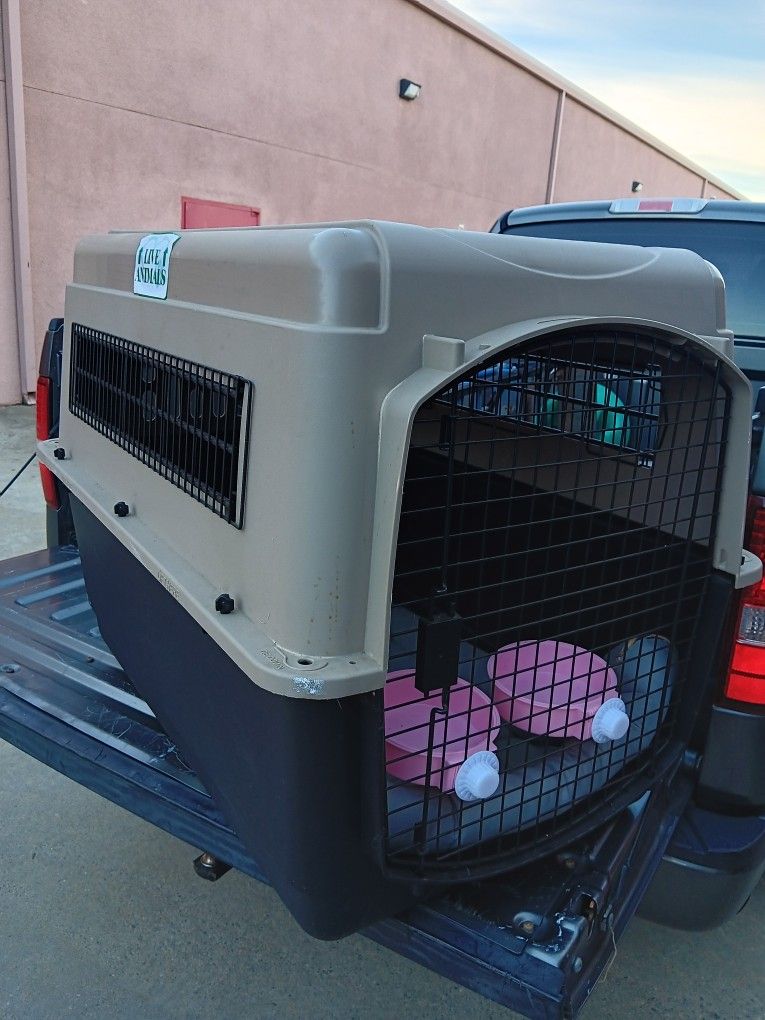 Dog Cage/Kennel