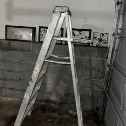 6ft Ladder