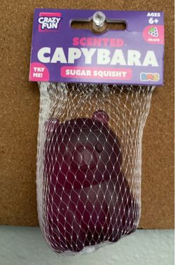 Capybara Sugar Scented Squishy