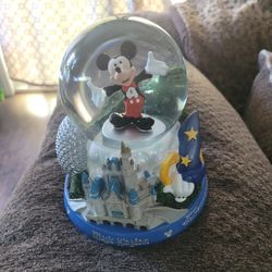 EPCOT MAGIC KINGDOM  DISNEY'S HOLLYWOOD STUDIOS IN PERFECT WORKING CONDITION $45.00