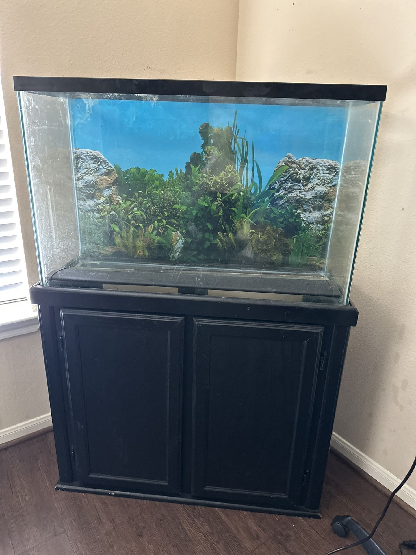 35/5 Gallon Fish Tank \u0026 Stand, image size:1440x1920
