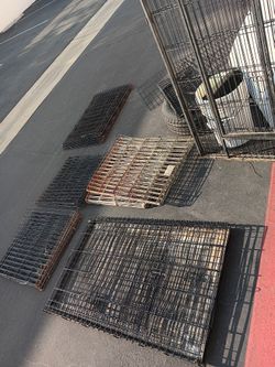 Dog Cages And Kennels