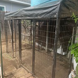 Chicken coop /cage