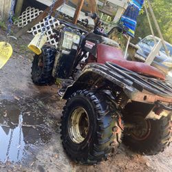 2000 Bear Tracker 250
