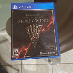 The Elder Scrolls Morrowind (PS4)